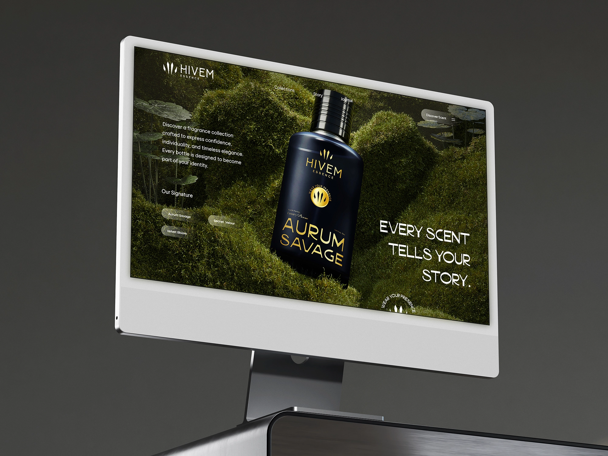 Web Design & UI/UX